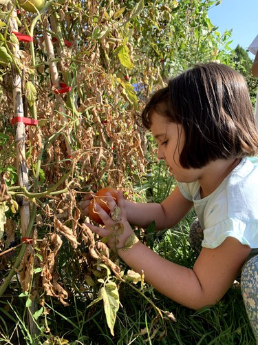 Imatge de la notícia El nostre petit i gran hort