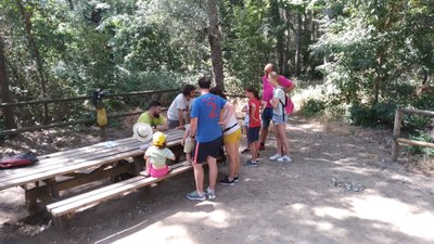 Imatge del event Anellament d'ocells a la Mitjana