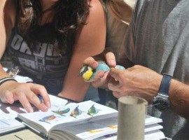 Imatge del event Anellament d'ocells al Parc de la Mitjana