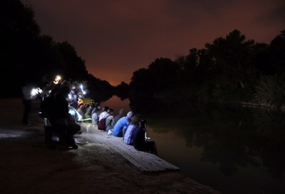 Batnight: la nit dels ratpenats al Parc de la Mitjana