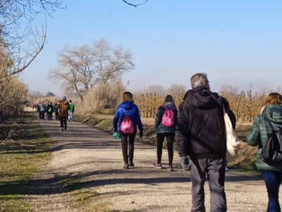 Caminar és fer salut. El camí del riu i els Aiguamolls de Rufea