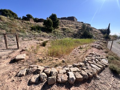 Ecodescoberta. Les basses naturalitzades