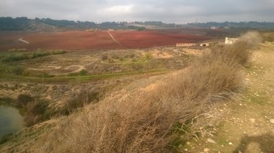 Imatge del event ECODESCOBERTA. El paisatge de l'Horta a través dels sòls