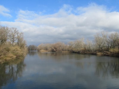 Imatge del event ECODESCOBERTA. EL PARC DE LA MITJANA A L’HIVERN