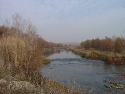 Imatge del event ECODESCOBERTA. El Riu Segre al seu pas per Lleida, del Molí de Picabaix als Aiguamolls de Rufea