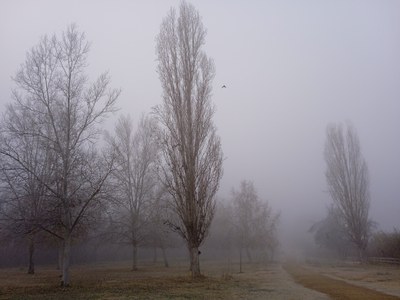 Ecodescoberta. Què passa a la Mitjana quan fa fred?