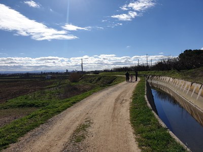 Imatge del event Ecodescoberta. Visita a la granja ecològica de codi 0