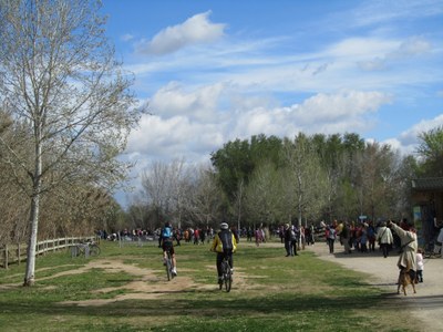 Festa del Parc de la Mitjana 