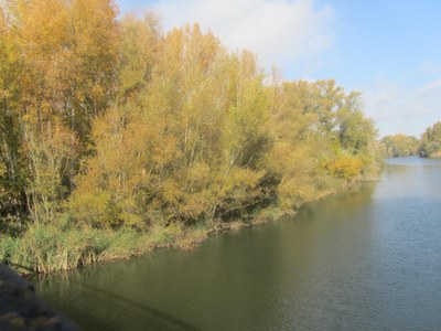 Imatge del event Punt d'observació +Biodiversitat. Els ocells del riu