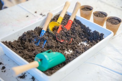 Taller. Les varietats tradicionals, com conservar les pròpies llavors i com fer-nos el planter?