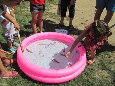 Imatge del event Taller. Jocs refrescants al Parc de la Mitjana