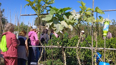 Imatge del event Taller. Mètodes eficaços de control de plagues a l'hort ecològic
