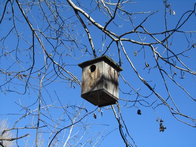 Imatge del event Tallers per a petits naturalistes a la Mitjana - Dimarts: Caixes niu i menjadores d'ocells