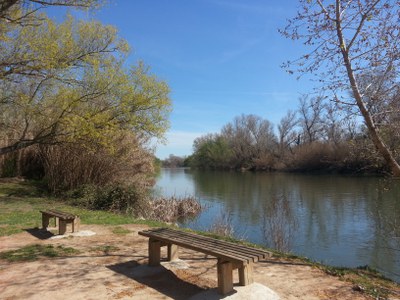 Imatge del event Visita guiada al parc de la Mitjana