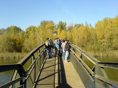 Imatge del event Visita guiada al Parc de la Mitjana -abril 2019