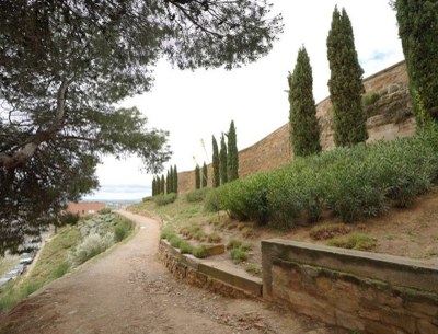 Visites als espais renaturalitzats de Lleida
