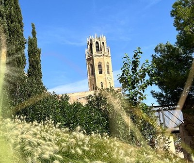 VISITES ALS ESPAIS RENATURALITZATS DE LLEIDA