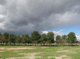 Imatge de la notícia El bosc urbà de Magraners, una realitat ben aviat