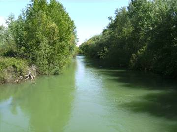 Canal Balguer