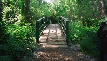 Pont de ferro