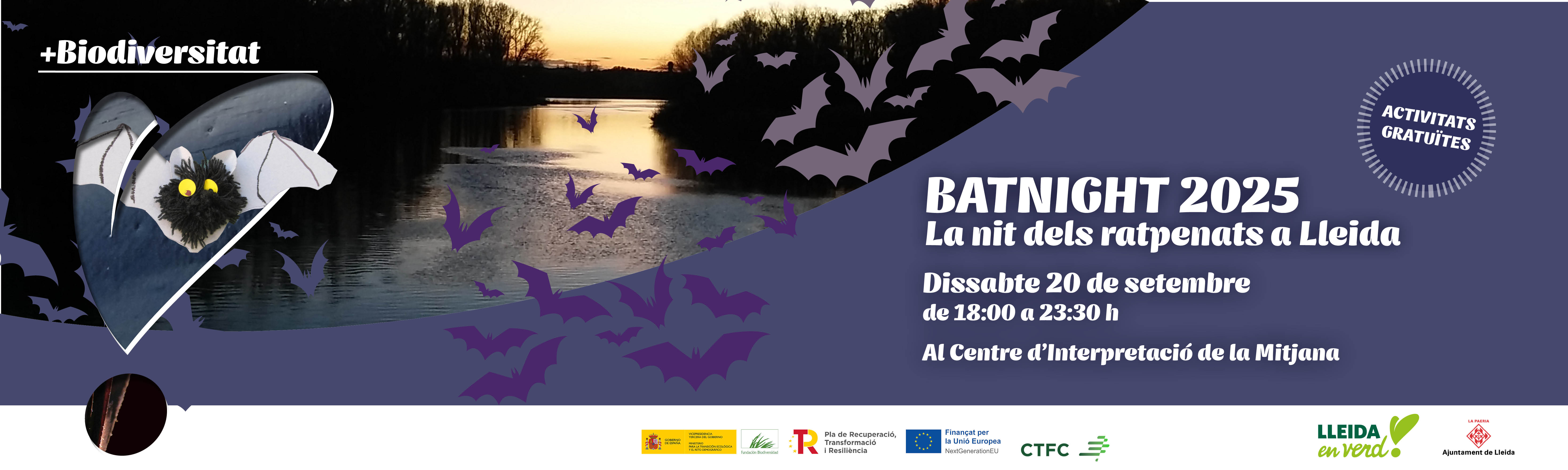 imatge batnight