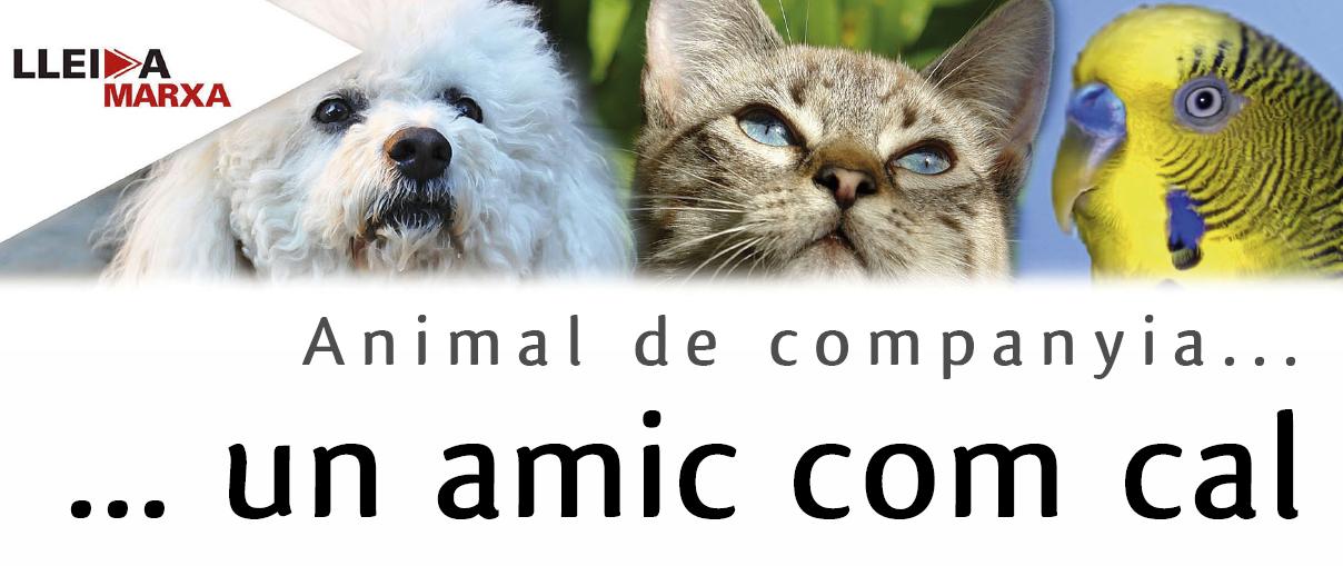 imatge campanya animals companyia 2011