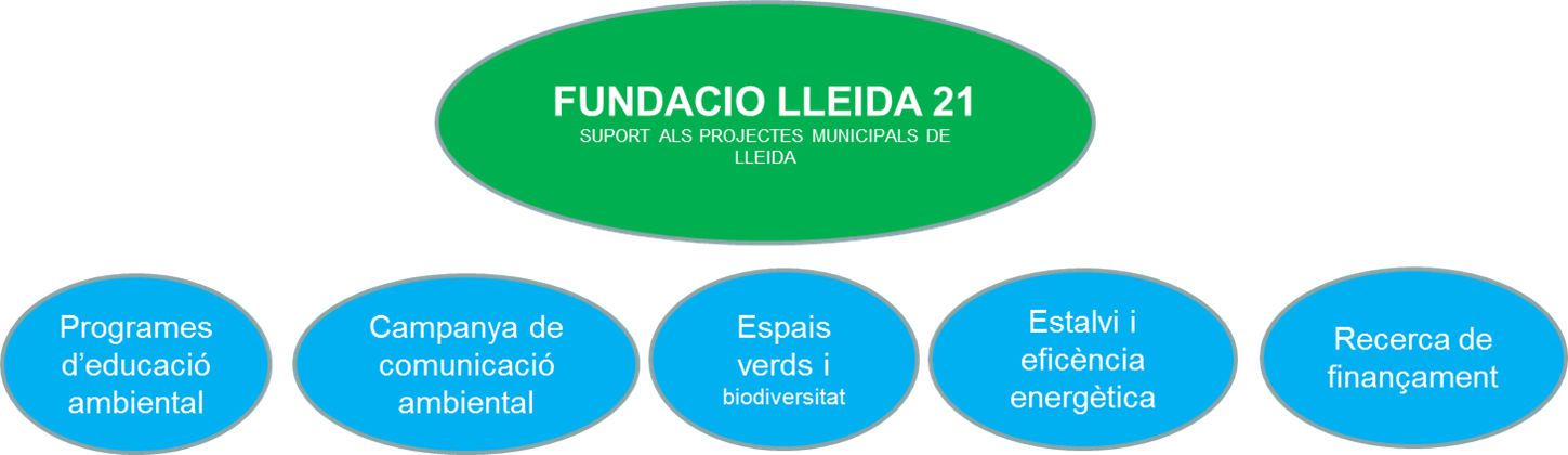 Pla treball FLL21