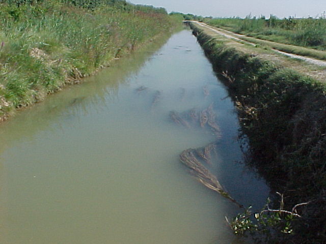 Canal d’ugell 2