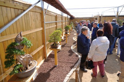 ‘Espai Bonsai’ el primer museu del bonsai a Lleida