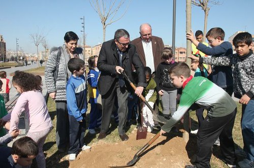 Imatge de la notícia 225 escolars planten una cinquantena d'arbres al Parc del Cobriment de les Vies