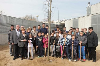 25 alumnes de cicle mitjà i cicle superior de l'Escola Magí Morera participen en la plantació d'arbres al seu pati