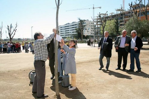 Imatge de la notícia Nous arbres al CEIP Frederic Godàs 