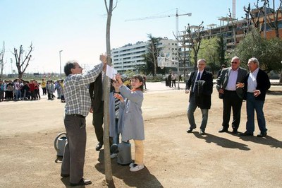 Nous arbres al CEIP Frederic Godàs 