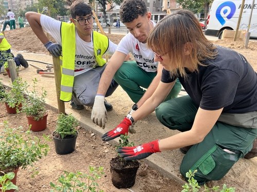Imatge de la notícia Alumnes de l’Institut Castell dels Templers participen en la plantació de 400 plantes herbàcies a l'avinguda Doctor Fleming