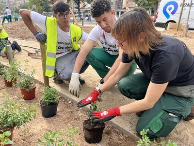 Alumnes de l’Institut Castell dels Templers participen en la plantació de 400 plantes herbàcies a l'avinguda Doctor Fleming