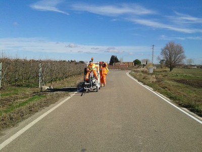 Avança la campanya per millorar la senyalització horitzontal dels camins de l'Horta de Lleida