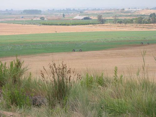 Imatge de la notícia Bases reguladores per a la concessió d'ajuts en matèria de promoció de l'Horta de Lleida per l'any 2016