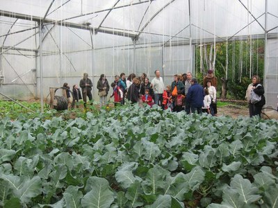 Benvinguts a l'Horta de Lleida satisfà els visitants i els agricultors