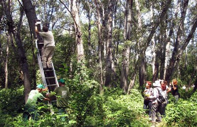 Bioblitz Lleida permet identificar més d'un centenar d'espècies a la Mitjana en un cap de setmana