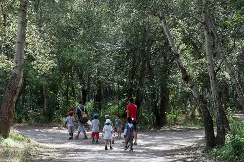 Imatge de la notícia Camps de treball per a joves al Parc de la Mitjana de Lleida