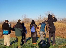 Imatge de la notícia Cens d’ocells hivernants als espais humits de Lleida 