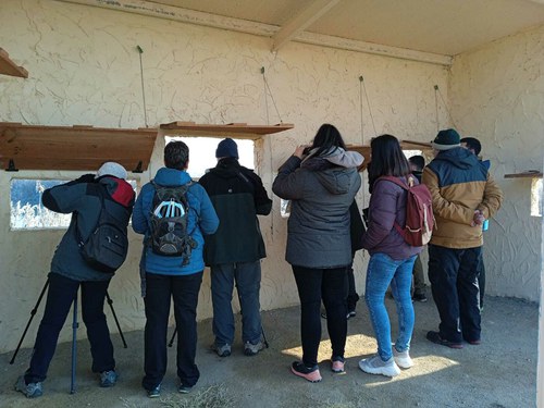 Imatge de la notícia Cens d’ocells hivernants i altres activitats al Parc de la Mitjana 