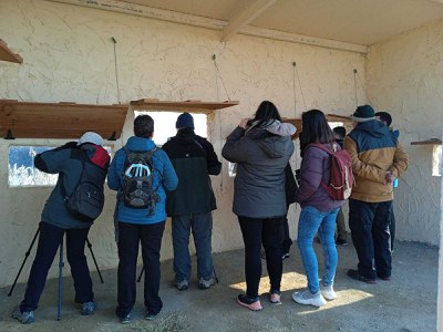 Cens d’ocells hivernants i altres activitats al Parc de la Mitjana 