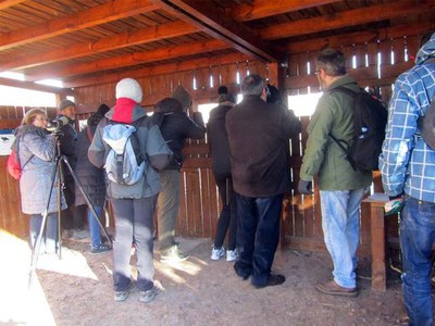 Censen els ocells aquàtics hivernals al Parc de la Mitjana