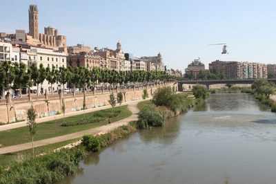 Comença la campanya anual de fumigació de la mosca negra al riu Segre