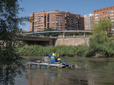 Comencen els treballs de retirada de macròfits al tram urbà del riu Segre 