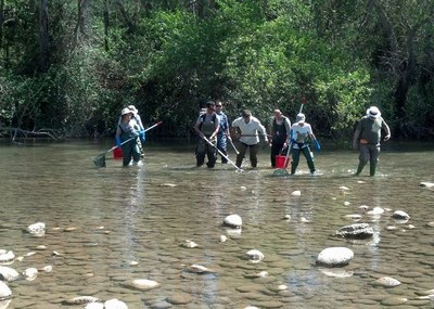 Curs per estudiar i identificar peixos dels rius mediterranis