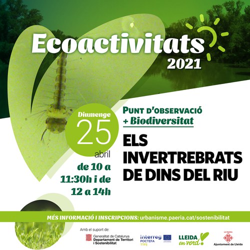 Imatge de la notícia Descobrir els invertebrats aquàtics del Segre 