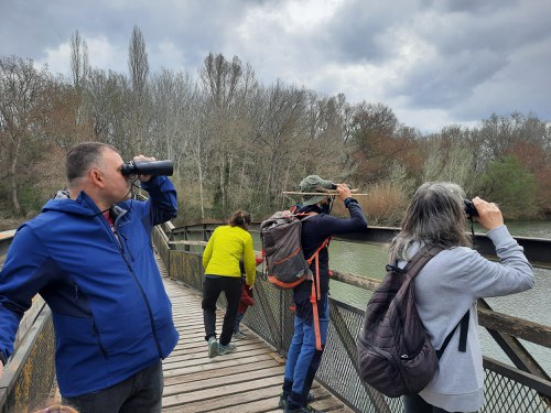 Imatge de la notícia Descobrir l’arribada de la Primavera al Parc de la Mitjana 