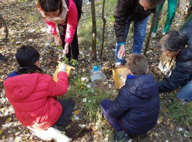 Imatge de la notícia Dilluns s’inicien els tallers per a petits naturalistes a la Mitjana